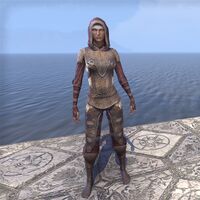Red Rook Armor (female)