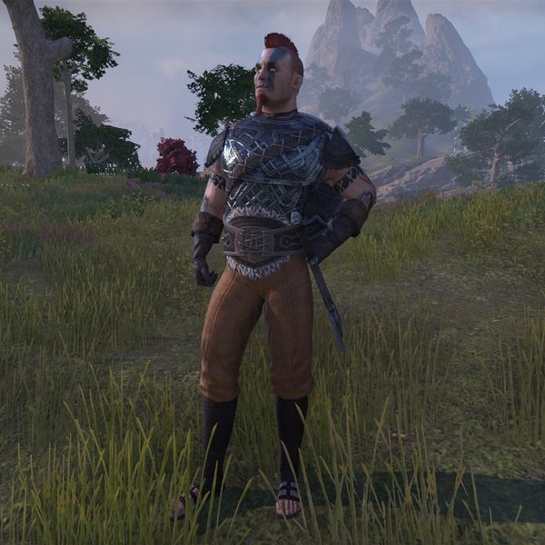 File:ON-npc-Vikskyr.jpg