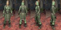 ON-item-armor-Homespun-Jerkin-Ancient Elf-Female.jpg