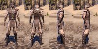 ON-item-armor-Rawhide-Breton-Male.jpg