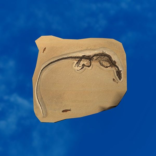 File:SRMOD-LOTD-fossil-t2-swimming lizard fossil.jpg