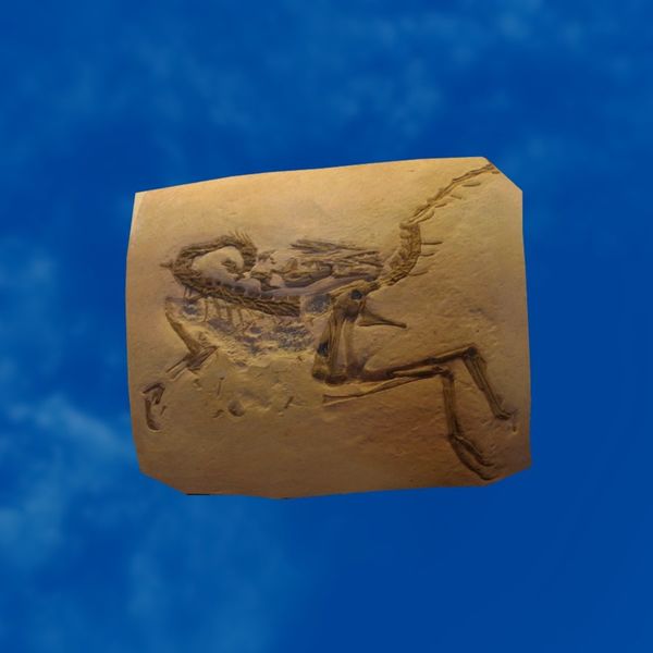 File:SRMOD-LOTD-fossil-t3-small saurian fossil.jpg