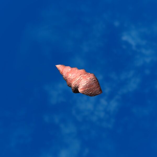 File:SRMOD-LOTD-tide-conch-red.jpg