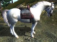 OB-creature-White Horse.jpg