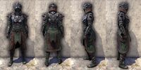 ON-item-armor-Morag Tong Medium Female.jpg