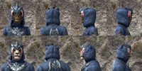 ON-item-armor-Syrabanic Marine Light Beast Races.jpg