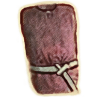 OBR-icon-clothing-Robe of the Apostle.png