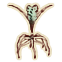OBR-icon-ingredient-Nirnroot.png