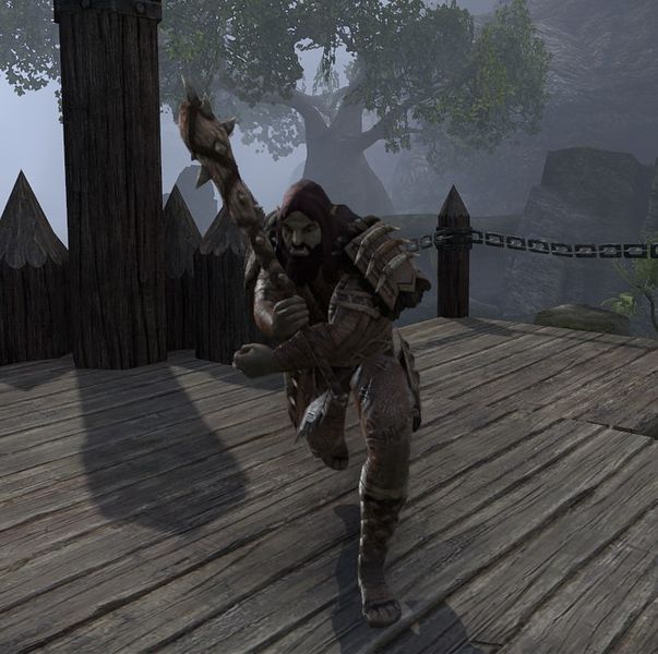 File:ON-npc-Roog.jpg