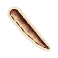 OBR-icon-ingredient-Carrot.png