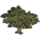 ON-icon-furnishing-Tree, Giant Swampshadow.png