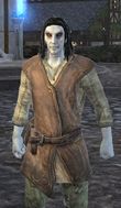 Male Dark Elf