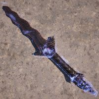 OBR-item-Bound Dagger.jpg