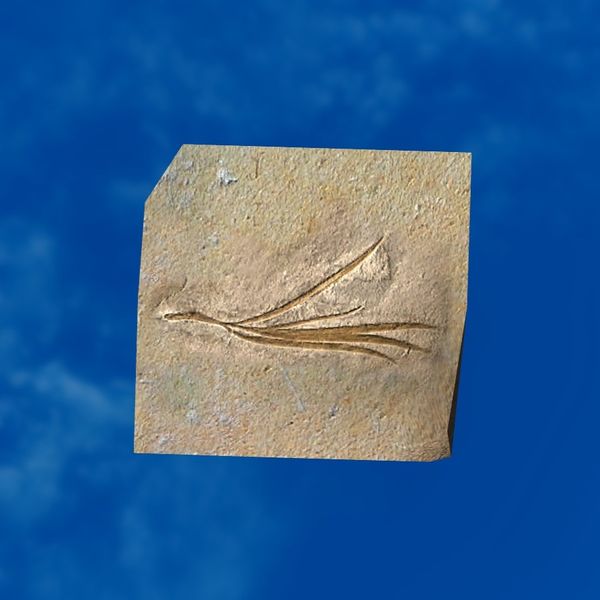 File:SRMOD-LOTD-fossil-t1-grass fossil.jpg