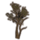 ON-icon-furnishing-Saplings, Short Highland.png