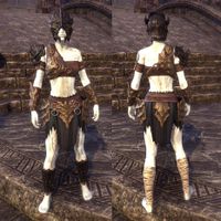ON-item-armor-Chitinous (female).jpg
