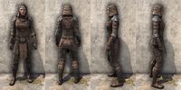 ON-item-armor-Gardener of Seasons Female.jpg