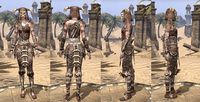 ON-item-armor-Rawhide-Barbaric-Female.jpg