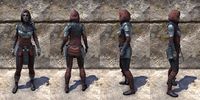 ON-item-armor-Silver Rose Light Jerkin Female.jpg