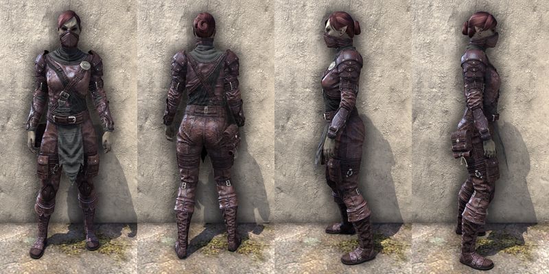 File:ON-item-armor-Soulcleaver Female.jpg
