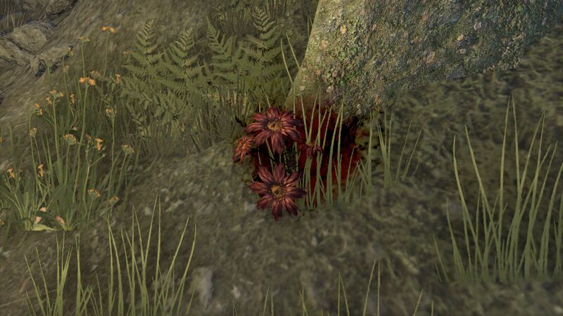 File:ON-quest-Sanguine's Solace.jpg