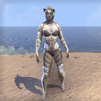 ON-skin-Ardor's Devotion (Khajiit).jpg