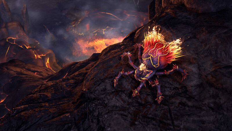 File:ON-crown store-Nightflame Larval Yaghra.jpg