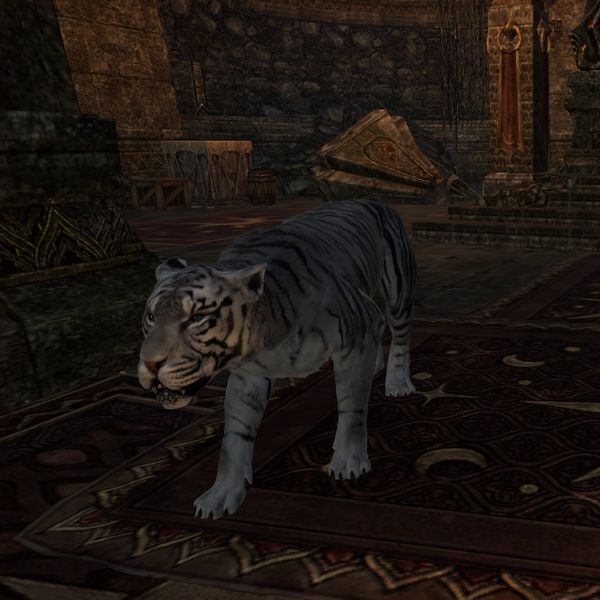 File:ON-creature-Raakhet.jpg