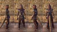 ON-item-armor-Homespun-Jerkin-Argonian-Male.jpg