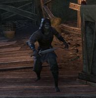 ON-npc-Ren-dro Shaman.jpg