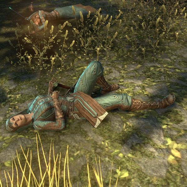File:ON-npc-Conjurer Hrolda (dead).jpg