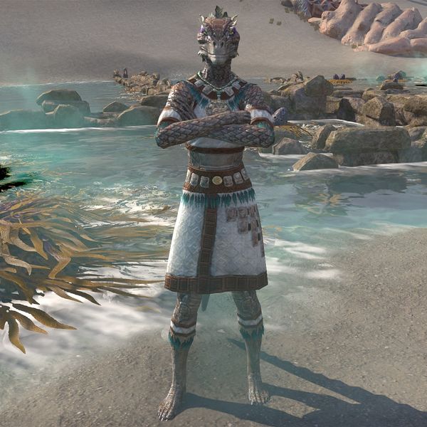 File:ON-npc-Shoal-Tender Noki.jpg