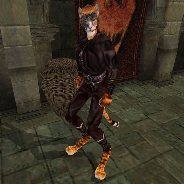 File:TR3-npc-Shady J'hodirr.jpg