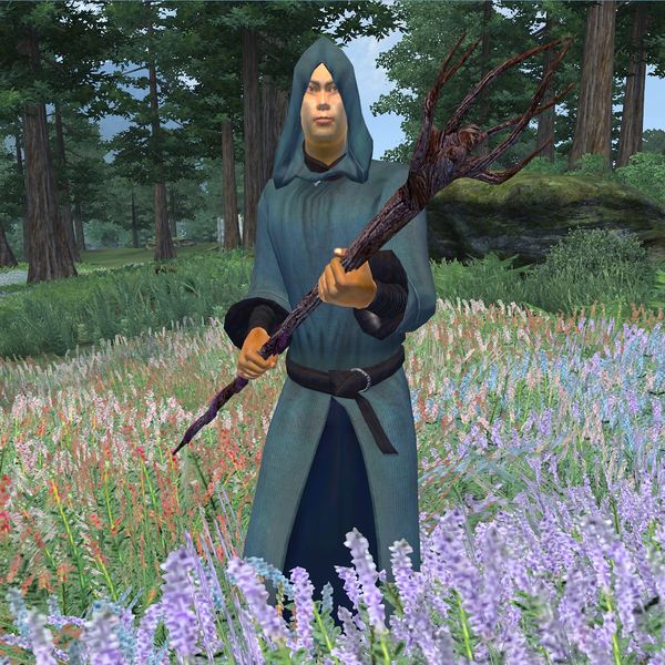 File:OB-npc-Conjurer Adept (High Elf male).jpg