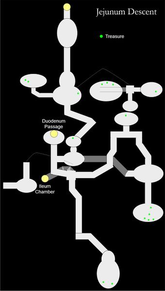 File:TR3-map-Paruddma's Maw, Jejunum Descent Map.jpg