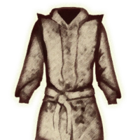 OBR-icon-clothing-White Mage's Robes.png