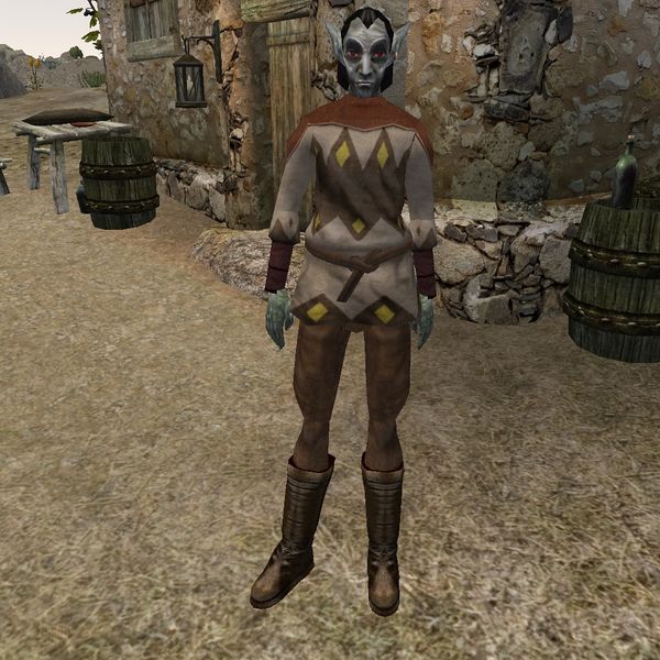 File:PC3-npc-Alvur Relds.jpg