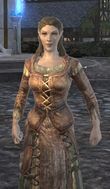 Female Wood Elf