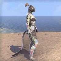 ON-skin-Ardor's Devotion (Khajiit) 02.jpg