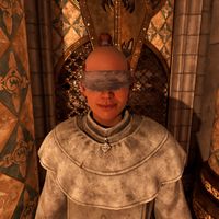 OBR-npc-Blind Moth Priest 14C473 02.jpg