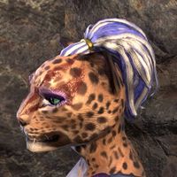 ON-hairstyle-High Elven Instigator 05.jpg