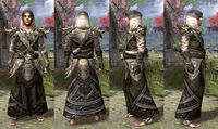 ON-item-armor-Cotton-Robe-Bosmer-Male.jpg
