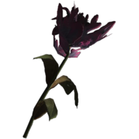 SR-icon-ingredient-Purple Mountain Flower.png