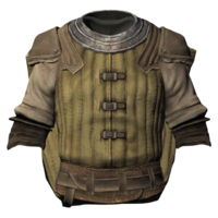 BS5C-icon-armor-BrumaGuardsArmor.png