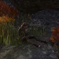 ON-npc-Bella Vestum (trapped).jpg