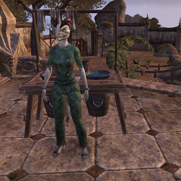 File:ON-item-armor-Prisoner's Rags Female.jpg