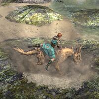 ON-mount-Skulltooth Coastal Durzog 03.jpg