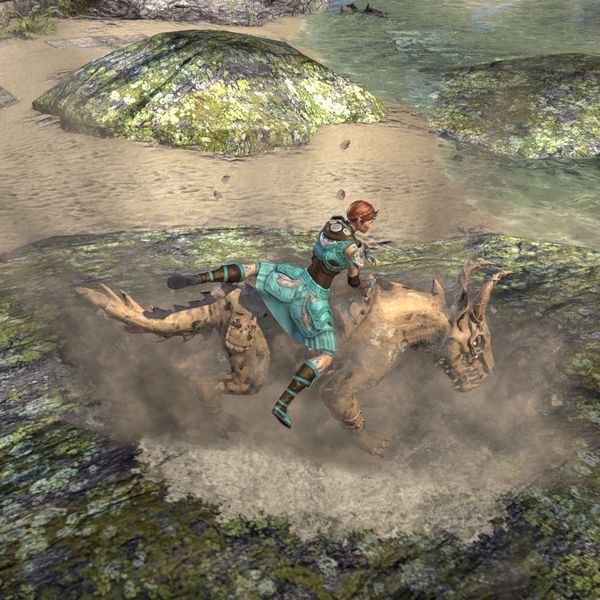 File:ON-mount-Skulltooth Coastal Durzog 03.jpg