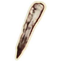 OBR-icon-ingredient-Swamp Tentacle.png