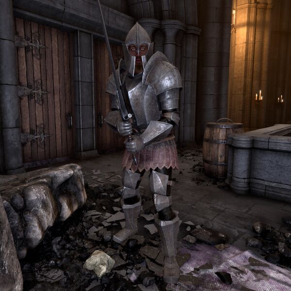 File:OBR-npc-Imperial Legion Soldier 732D4.jpg